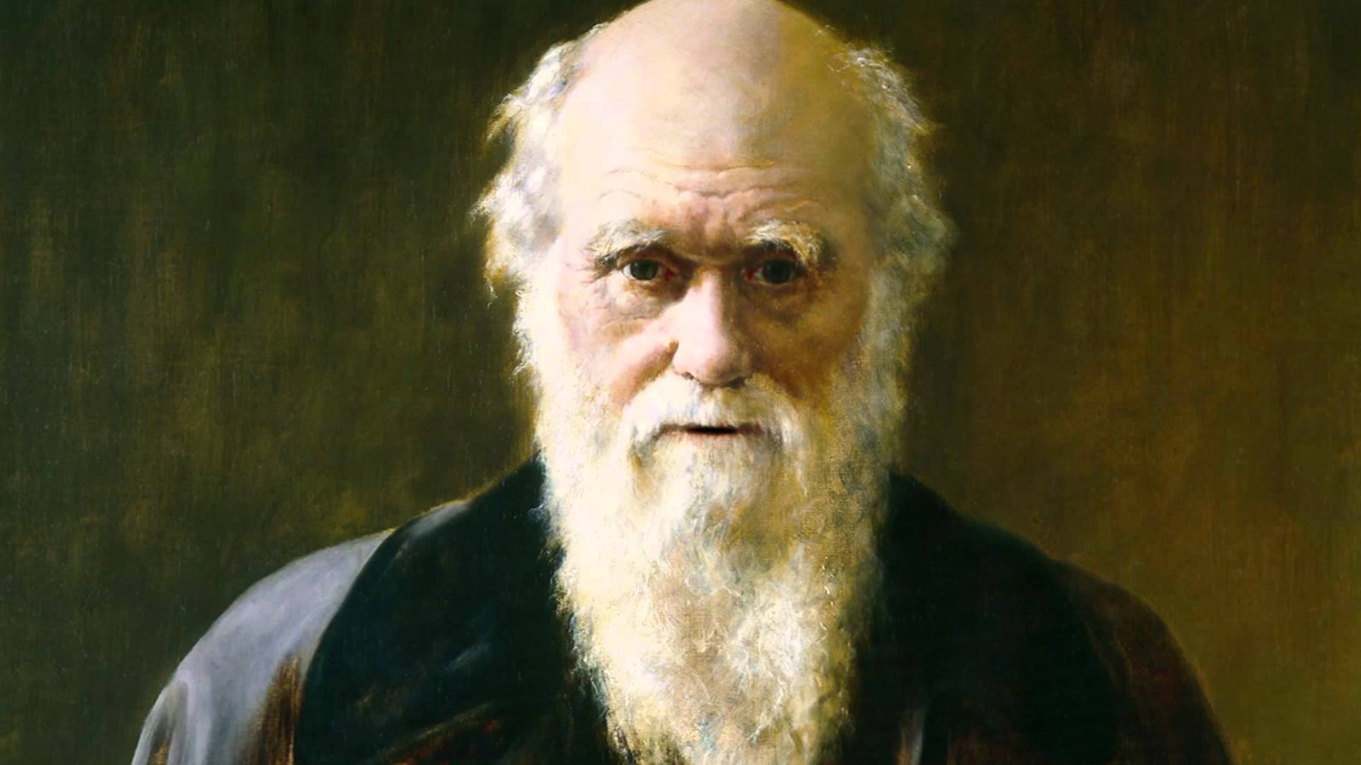 Read <i>The origin of species</i> by Charles Darwin. Its great, its free, and it is nothing but alt-right